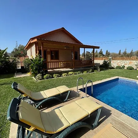 Villa Andizalti Doga Evleri Limon Ev *