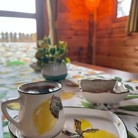 Andizalti Doga Evleri Limon Ev Villa Datca