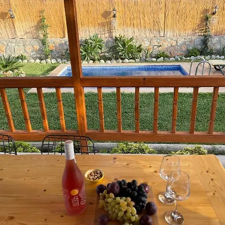 Vila Andizalti Doga Evleri Limon Ev *