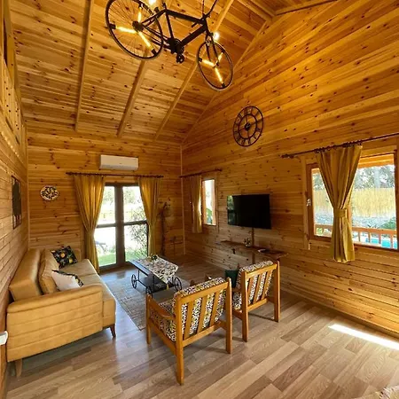 Andizalti Doga Evleri Limon Ev