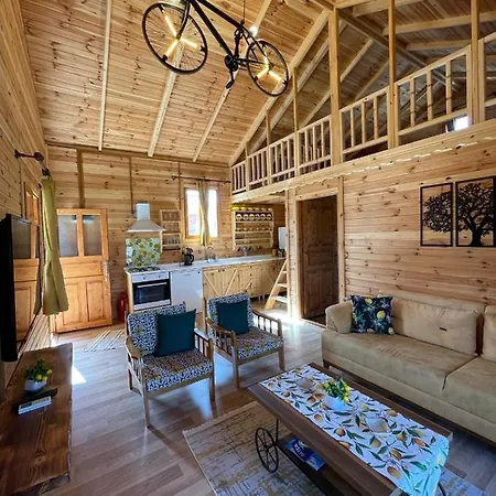 Andizalti Doga Evleri Limon Ev Βίλα Datca