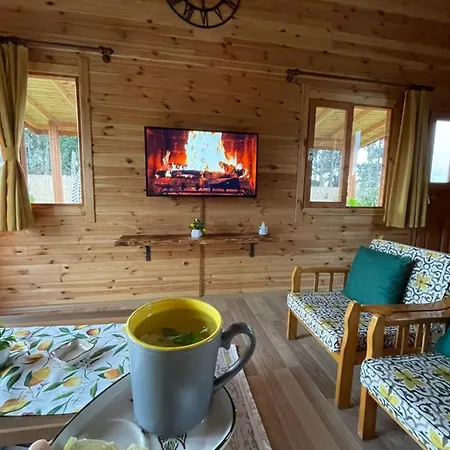 Βίλα Andizalti Doga Evleri Limon Ev *