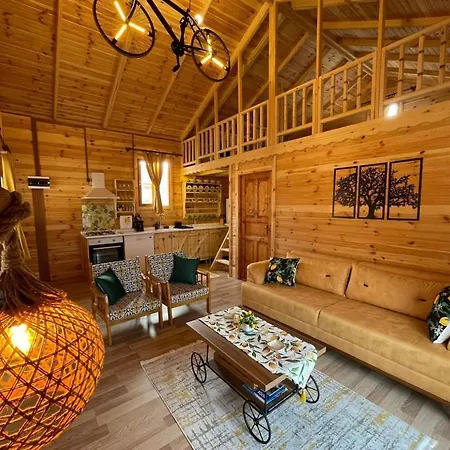 Andizalti Doga Evleri Limon Ev * Datca