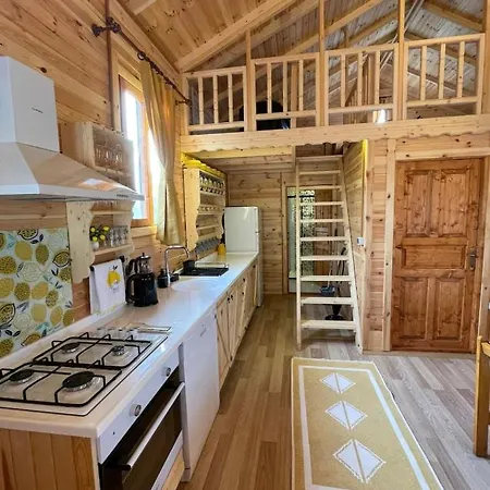 Andizalti Doga Evleri Limon Ev