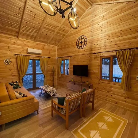 Βίλα Andizalti Doga Evleri Limon Ev Datca